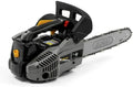 Tronçonneuse d'élagage thermique Alpina APR 25 - Guide 25 cm, 900 W